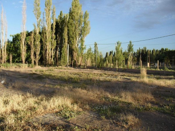 Terreno en plottier