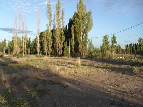 Terreno en plottier