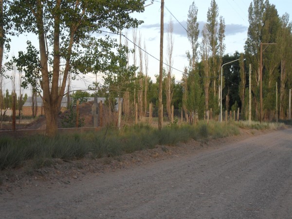 Terreno en plottier