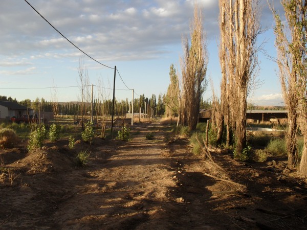 Terreno en plottier