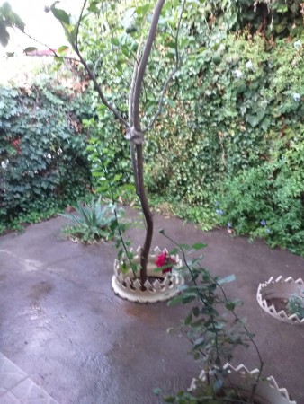 VENTA DUPLEX  CALLE RUFINO 4800 - Contactos 299 4066999 Martillero y Corredora Publica Graciela Tallarico
