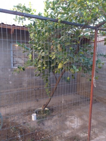 VENTA DUPLEX  CALLE RUFINO 4800 - Contactos 299 4066999 Martillero y Corredora Publica Graciela Tallarico